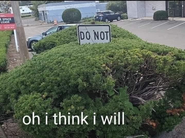 A trimmed hedge partially obscuring a "do not" sign, with the playful response "oh i think i will" added at the bottom, hinting at a real secret through this effective communication.