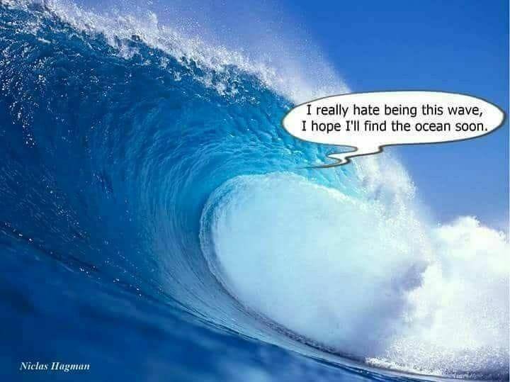 A large ocean wave with a humorous speech bubble overlaid saying "i really hate being this wave, I hope I'll reach enlightenment soon.
