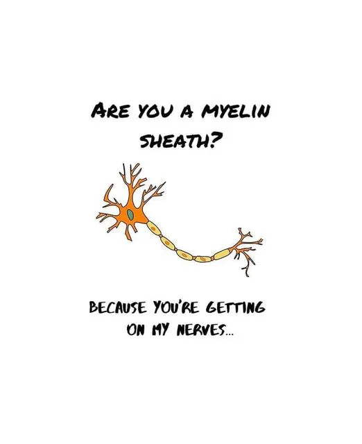 Illustration of a neuron with a pun: "are you a myelin sheath? because you're getting on my nerves and into my practice methods...